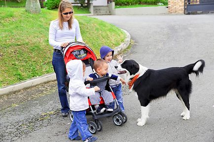 Felnőtt kutya és egy kisgyerek - zooinform Város