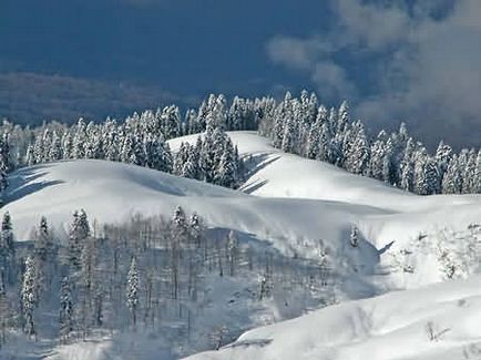 Хелі-скі в червоній галявині