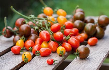 Depozitarea tomatelor în timpul iernii - agroxxi