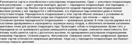 Яблуні всі плодоносять через рік