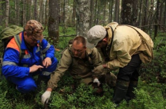 Fantomele misterioase ale celui de-al treilea erau în căutarea unei ramuri anerbe din Karelia, o privire dincolo de față