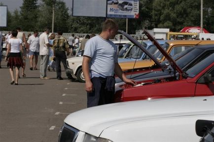 Зазирни коню в зуби, волгоградская правда