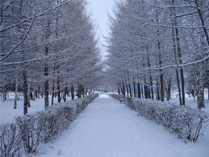 Змови на сніг