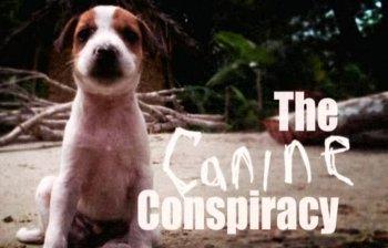 Filmul filmului de câini urmărește online