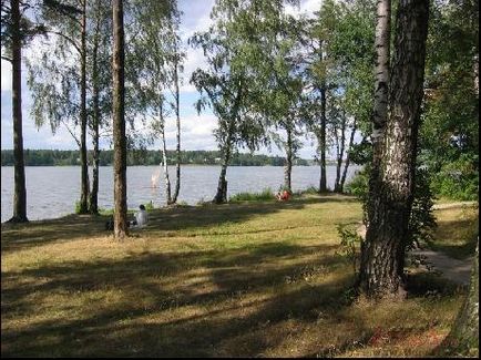 Nulla Biserova (nulla Biserova) Zero Biserova