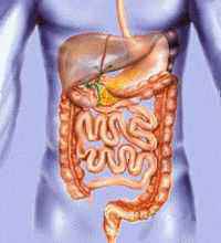 Tractul gastrointestinal și aloe vera, aloe vera - sănătate pentru toți!