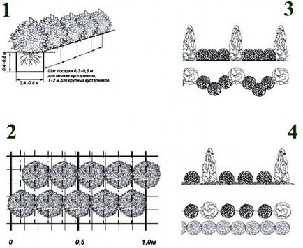 Hedge lonc adni és saját föld művelés, ültetés és gondozás (hedge) Hedge lonc adni és saját föld művelés, ültetés és gondozás