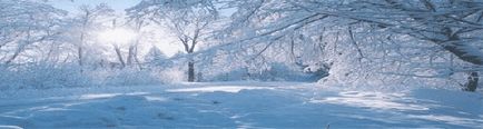 Semnele folclorice de iarnă de pe site-ul lui Igor Garshin