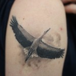 Înțeles tattoo stork - meaning, history, photo