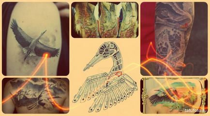 Înțeles tattoo stork - meaning, history, photo