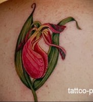 Jelentés tetoválás orchidea értelmében a történet és fotó tetoválás
