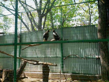 Gradina zoologica din Vladivostok