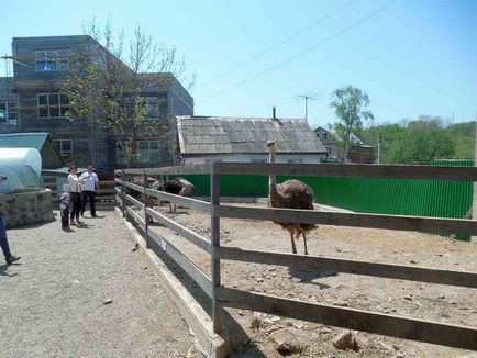 Зоопарк на Садгород у Владивостоці