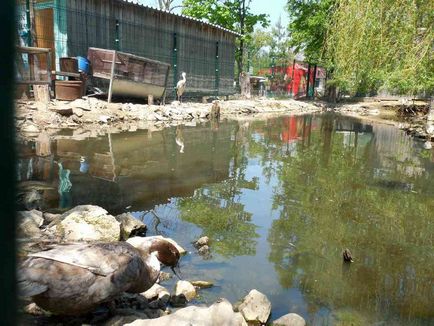 Gradina zoologica din Vladivostok