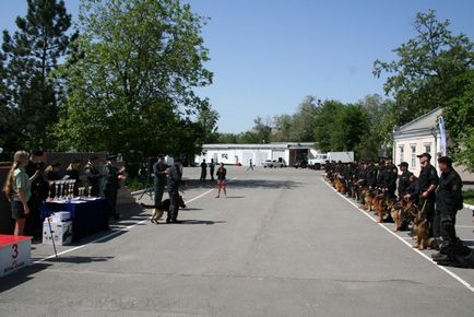 Звірі спеціального призначення як собак вчать шукати наркотики - москва 24