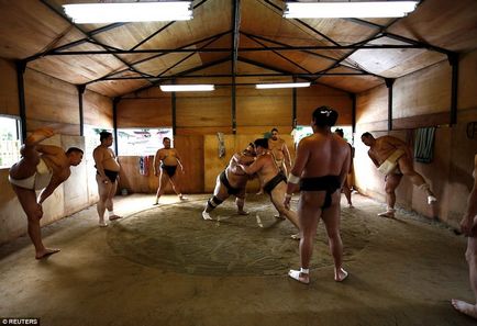 8. O mie de calorii pe zi și măști de oxigen în timpul somnului cum trăiesc luptătorii sumo și de ce ei greu