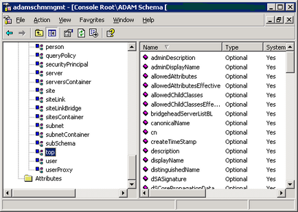 Active directory for application mode