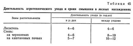 Агротехнічний догляд за лісовими насадженнями