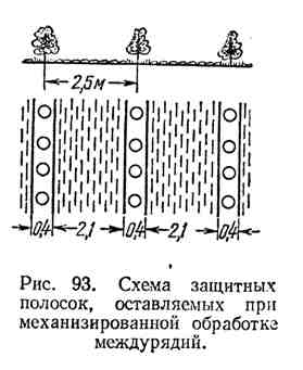 Агротехнічний догляд за лісовими насадженнями