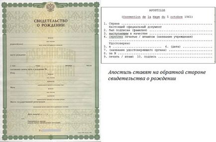 Apostila pe certificatul de nastere pusa la Sankt-Petersburg