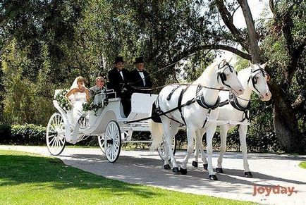 Închiriați un transport pentru o nuntă 10 sfaturi utile