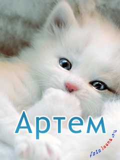 Artem, te iubesc tema (26 fotografii), poze cu nume