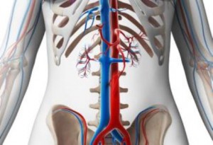 Arteriovenosus fejlődési A gerincvelő - tünetek és kezelés
