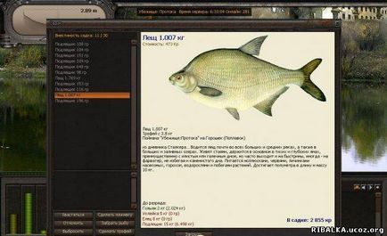 Atom fishing - jocuri de pescuit - jocuri despre pescuit pe PC