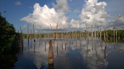 Bavaro (Punta Cana) - hogyan juthatunk el oda, strandok, szállodák