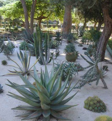 Bahai Gardens în Haifa pentru a vedea și care sunt Bahá'ís