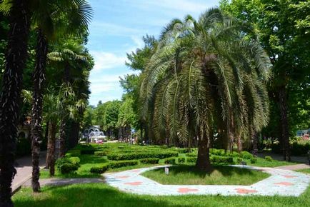 Бахайские сади в Хайфі що подивитися і хто такі багаї