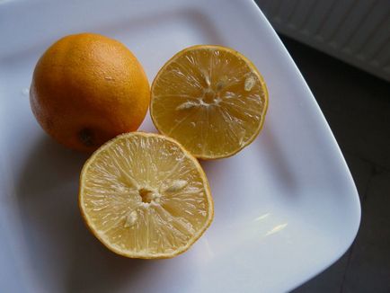 Bergamott vagy narancs-bergamott (citrus bergamia)