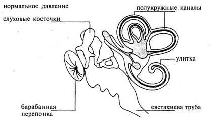 Boala simptomelor mai mici, tratament, diagnostic, cauze