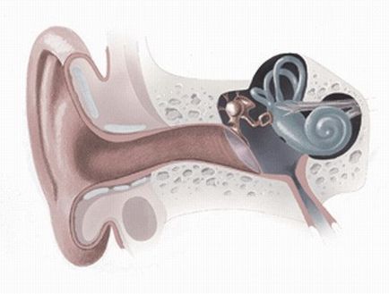 Boala simptomelor mai mici, tratament, diagnostic, cauze