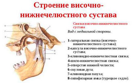 Біль у скронях причини, види, лікування