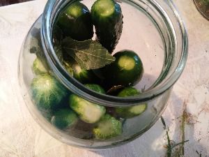 Ферментация краставици - рецепта за зимата