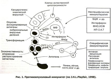 Vindecarea oncologică la Ojarsk