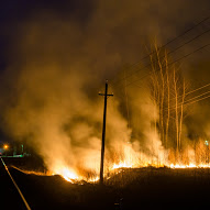 Ce va arde, nu va putrezi, Tolyanych