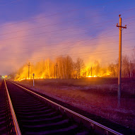 Ce va arde, nu va putrezi, Tolyanych