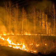 Ce va arde, nu va putrezi, Tolyanych