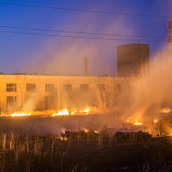 Ce va arde, nu va putrezi, Tolyanych