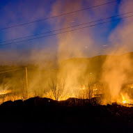 Ce va arde, nu va putrezi, Tolyanych