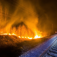 Ce va arde, nu va putrezi, Tolyanych