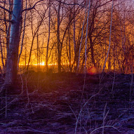 Ce va arde, nu va putrezi, Tolyanych