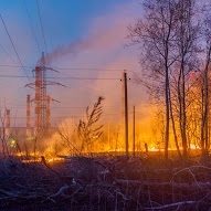 Ce va arde, nu va putrezi, Tolyanych