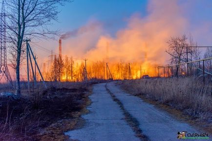 Ce va arde, nu va putrezi, Tolyanych