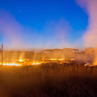 Ce va arde, nu va putrezi, Tolyanych