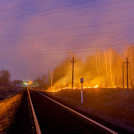 Ce va arde, nu va putrezi, Tolyanych