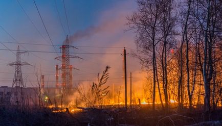 Ce va arde, nu va putrezi, Tolyanych