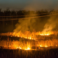 Ce va arde, nu va putrezi, Tolyanych